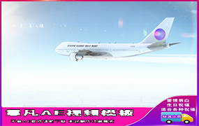 B1301：真实航空飞机LOGO展示