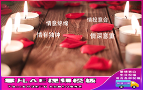 B1303：唯美玫瑰花相册换图文