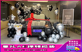 B1314：奥迪提车仪式