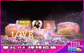 B1271：粉红花海布置（2期）