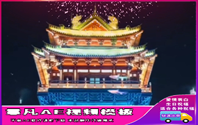 B1338：夜景烟花照片