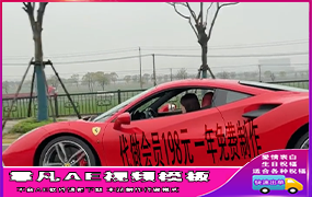 B1352：红色法拉利车身改字