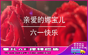 B1356：浪漫唯美玫瑰花