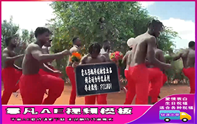 B1273：黑人跳舞