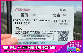 B1408：动车票