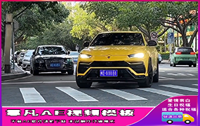 B1424：兰博基尼车牌+车身文字