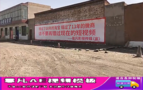 B1438：墙体广告